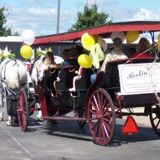 Rockn B horse and carriage fringe